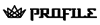 Profile Prism - Corporate Logo